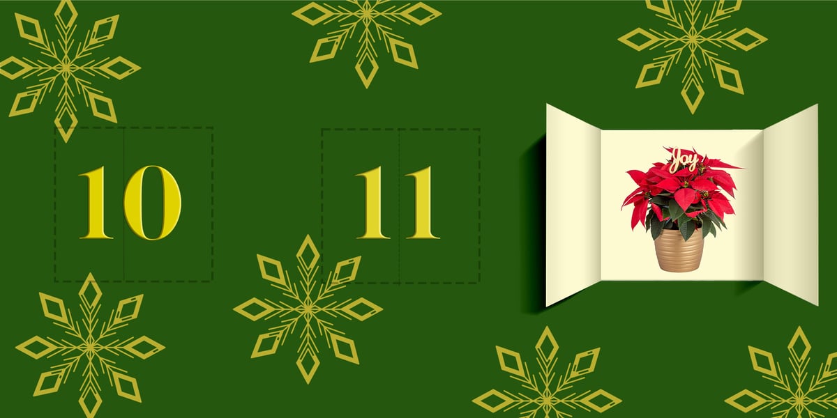 12 days advent calendar poinsettia-1