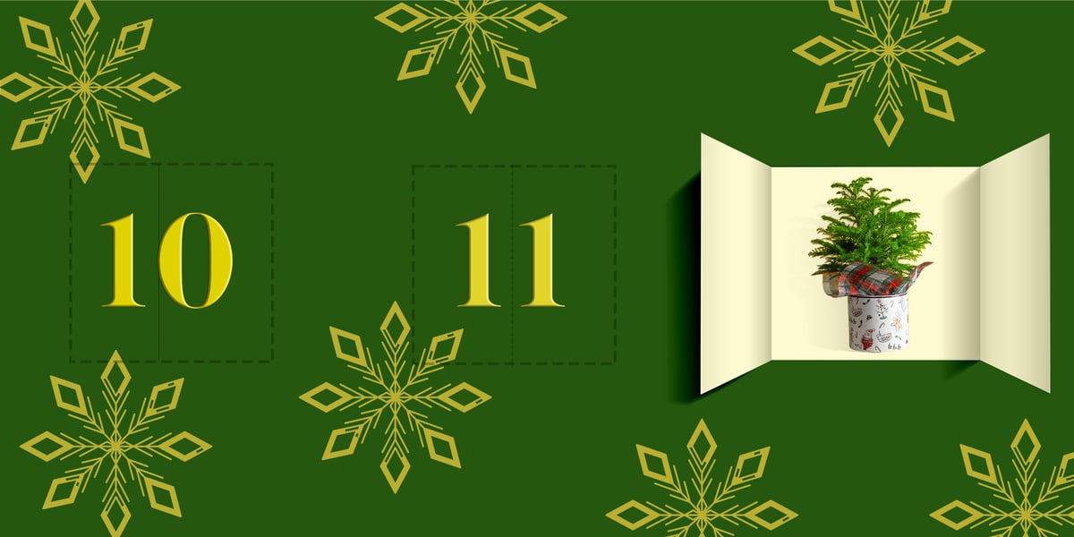 12 days advent calendar-3