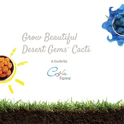 Desert-Gems-Idea-Book-cover.jpg Desert-Gems-Idea-Book-cover.jpg