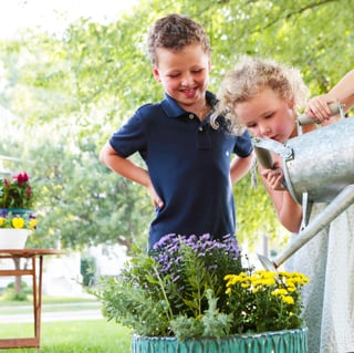 Family gardening Moosylvania -1