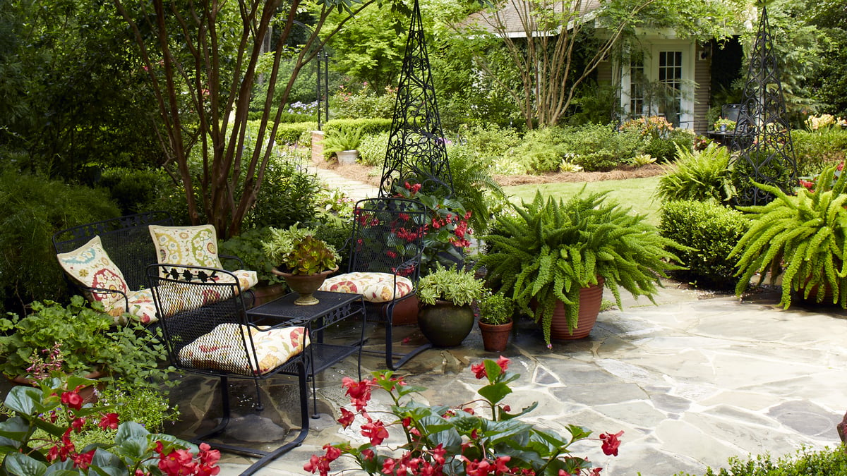 Porches and Gardens newsletter