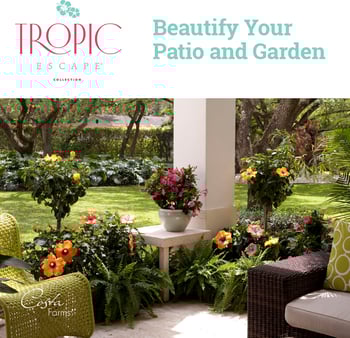 Tropic Escape Ebook Cover - Costa Farms